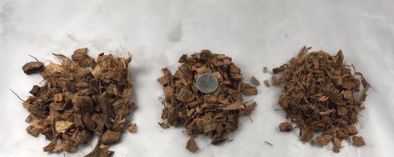 粗椰壳怎么处理才能养花（新鲜椰壳怎么处理才能种花）