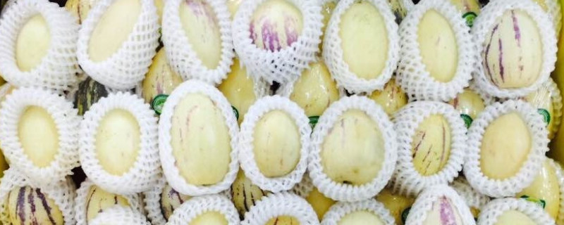 七彩果是人参果吗 七彩果是人参果吗能吃吗