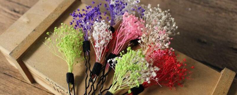 干花和永生花区别（干花和永生花区别是什么）