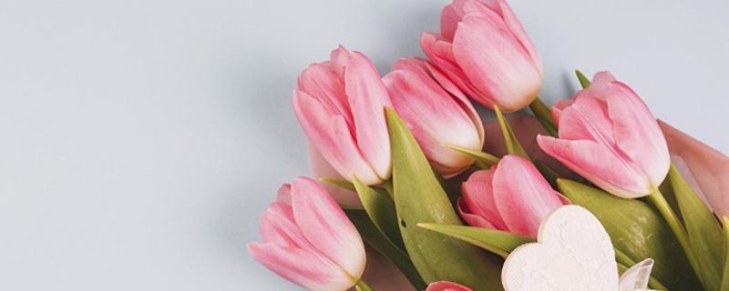 第一次见女生送什么花（第一次约会送什么花比较好）