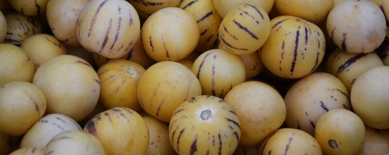 人参果要削皮吃吗 人参果的皮和芯能吃吗