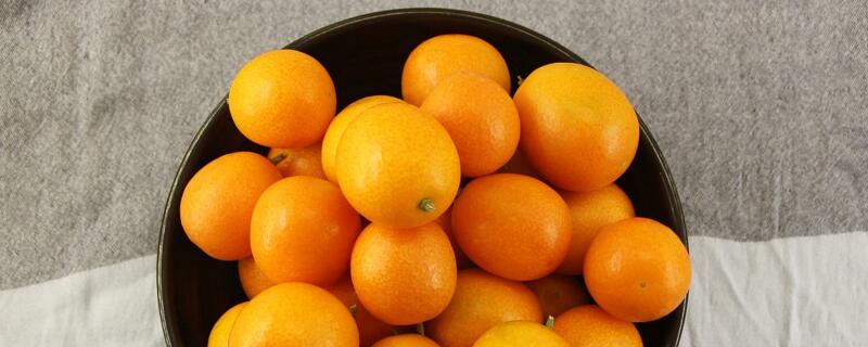 金枣与金桔的区别（金桔和金枣是一种植物吗）
