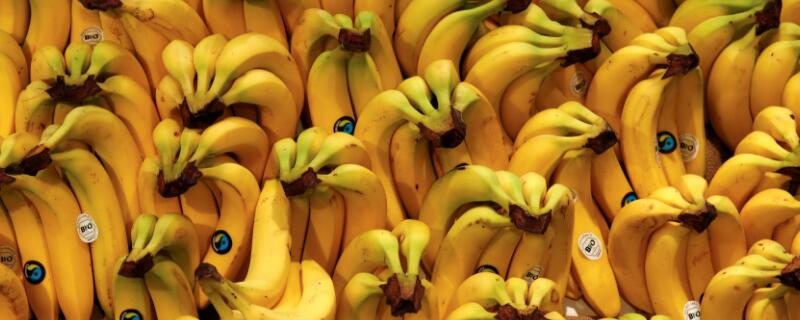 香焦是热性还是凉性的（香蕉热性的还是寒性的）