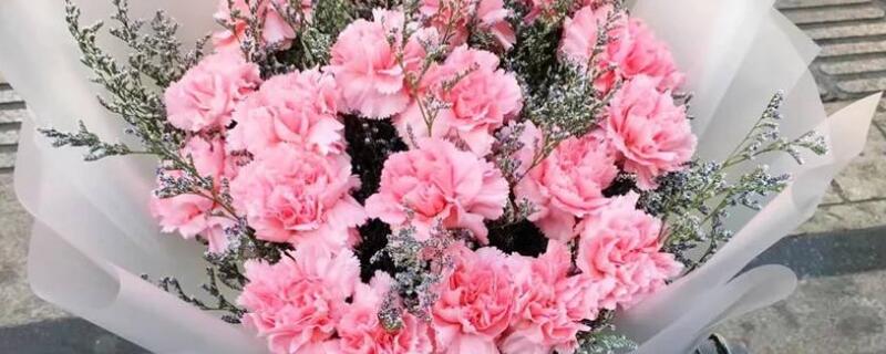 探病送什么花（订花去哪个平台好）