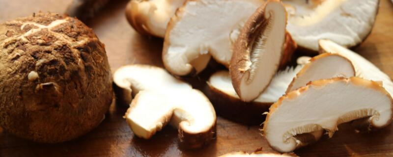 香菇是凉性还是热性 香菇的功效与作用
