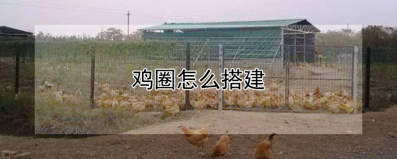 鸡圈怎么搭建 农村鸡圈怎么搭建