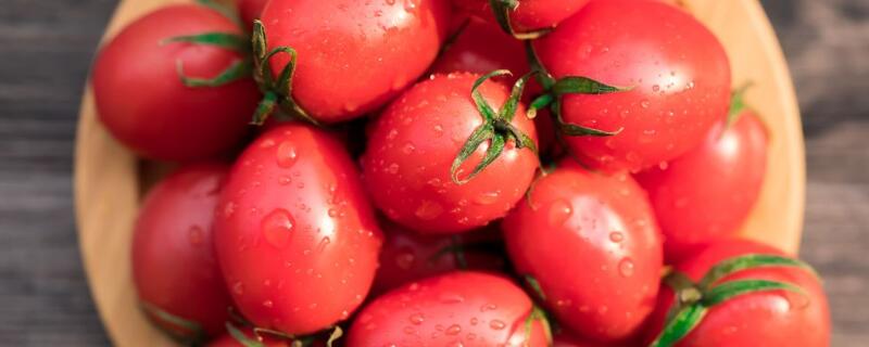 圣女果是转基因的吗 圣女果为什么不建议吃