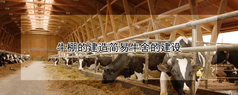 牛棚的建造简易牛舍的建设（牛棚的建造简易牛舍的建设图片）