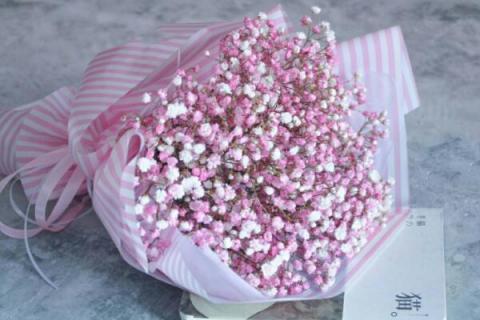 满天星干花能保持多久