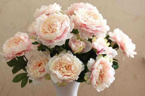 家里可以放假花吗