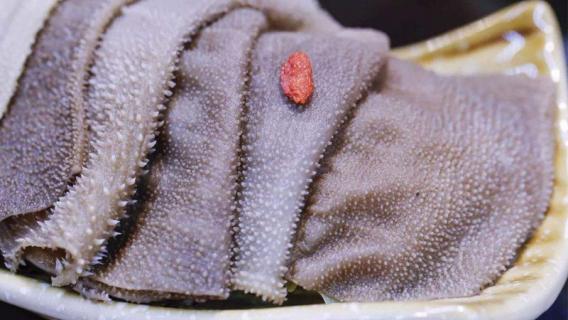 毛肚是什么动物身上的