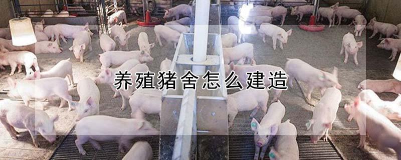 养殖猪舍怎么建造（养猪场设计图全套）