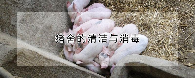 猪舍的清洁与消毒（猪舍的清洁与消毒有关吗）