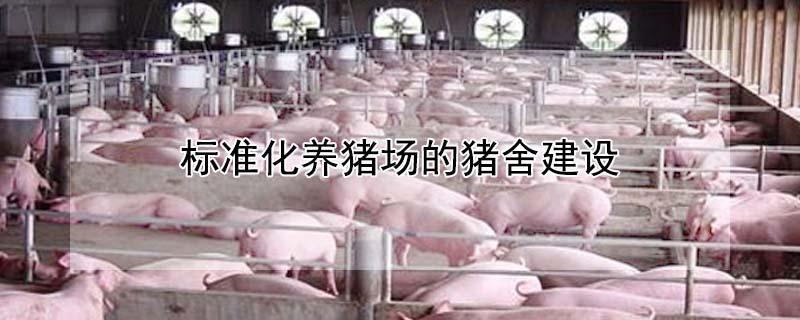 标准化养猪场的猪舍建设（100头猪场污水化粪池）