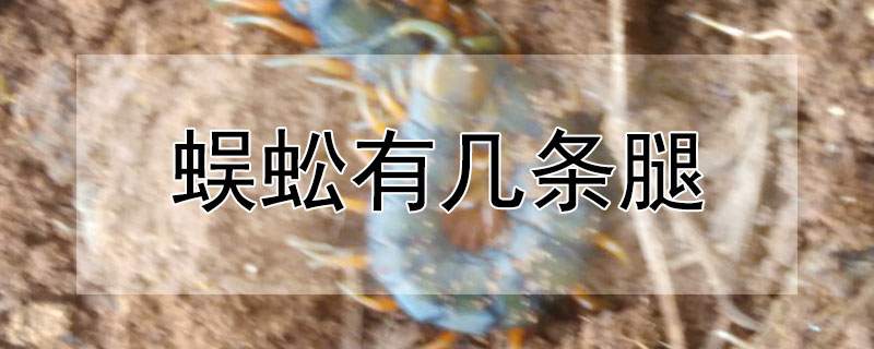 蜈蚣有几条腿（蜈蚣有几条腿正确答案）