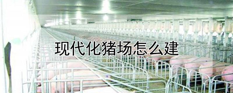 现代化猪场怎么建（现代化猪厂怎么建）