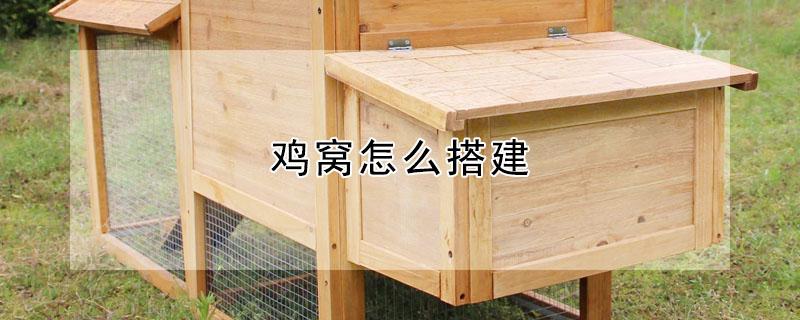 鸡窝怎么搭建（鸡窝怎么搭建自建简单）