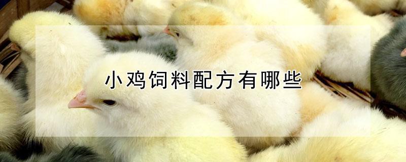 小鸡饲料配方有哪些（小鸡饲料配方有哪些种类）