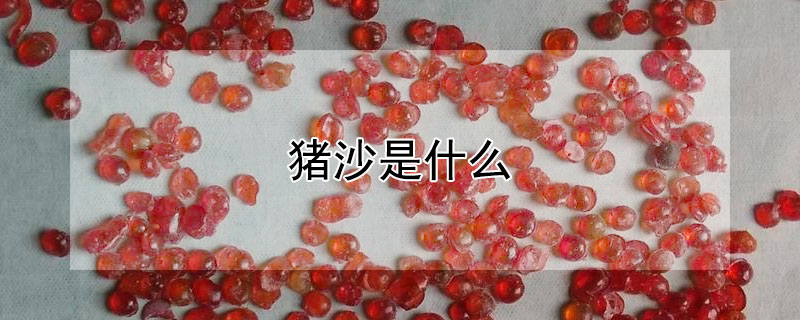 猪沙是什么（朱砂多少钱一克2022年）