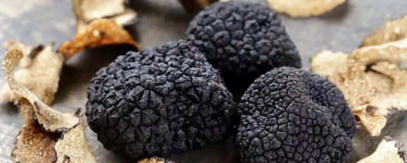 松露是什么（松露是什么味道）