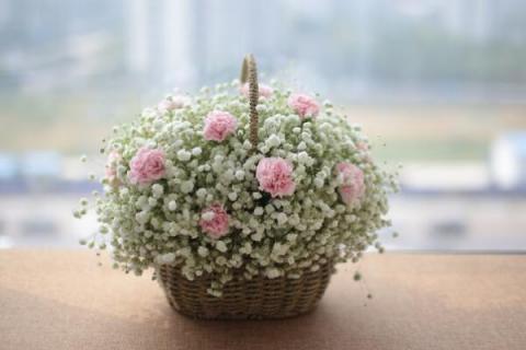 满天星送恋人可以吗