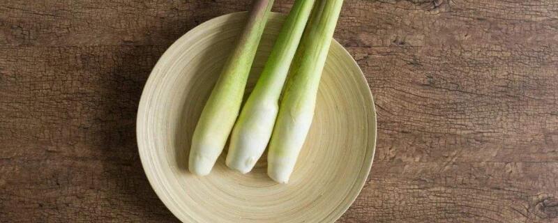 茭白是什么 茭白是什么季节的蔬菜