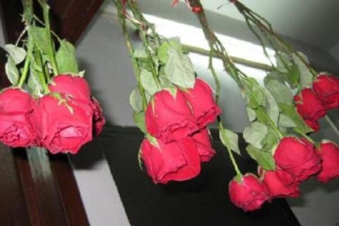 玫瑰花怎么处理不浪费