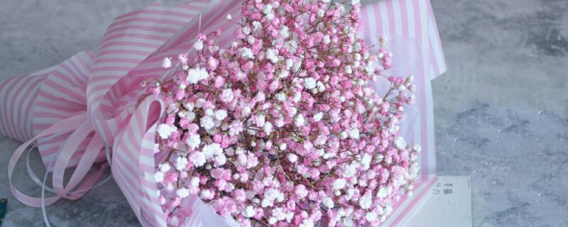 干花满天星如何制作 干花满天星可以做什么手工