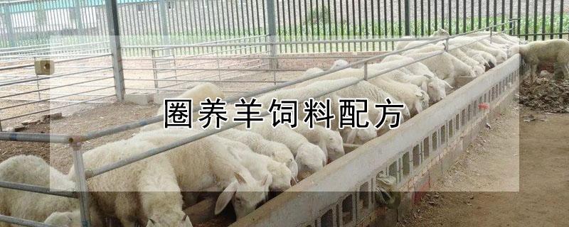 圈养羊饲料配方 圈养羊饲料配方大全