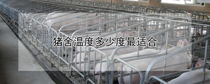猪舍温度多少度最适合（猪舍温度多少度最适合养猪）