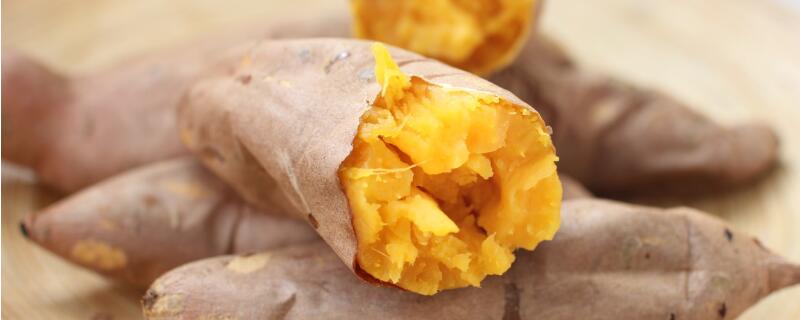 红薯成熟的季节 红薯成熟的季节是什么