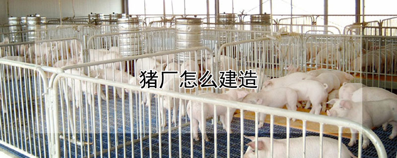 猪厂怎么建造（猪厂怎么建造好不伤害猪）