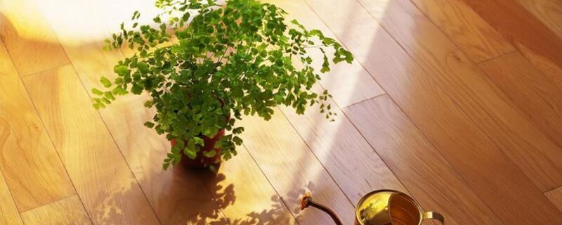 营养液的作用 打营养液有什么作用