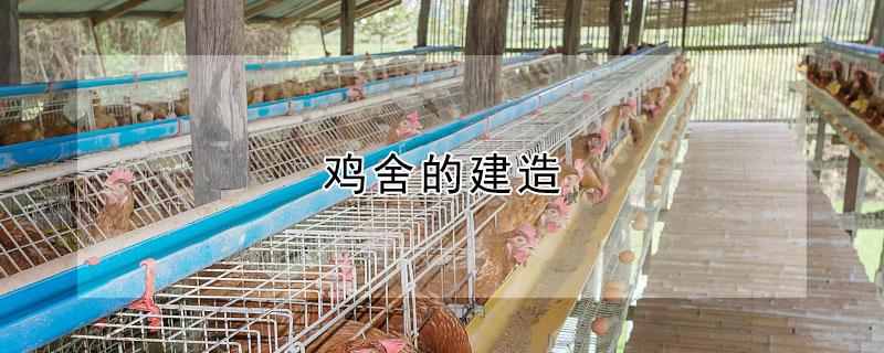 鸡舍的建造（农村鸡棚搭建图片50个）