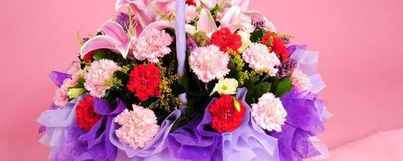 送病人什么花（鲜花送病人什么花）