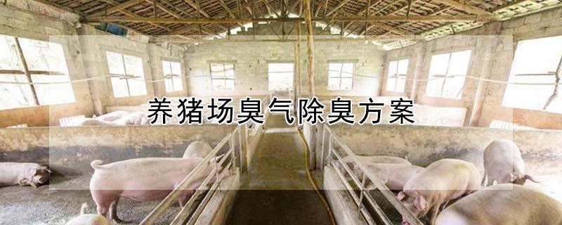 养猪场臭气除臭方案 养猪大棚建设多少钱一平方