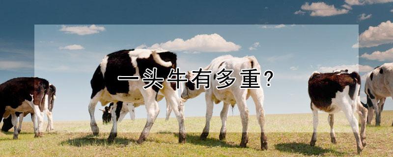 一头牛有多重?（一头大象重多少吨）