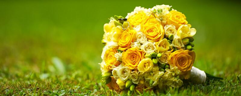 分手送什么花 分手送什么花合适