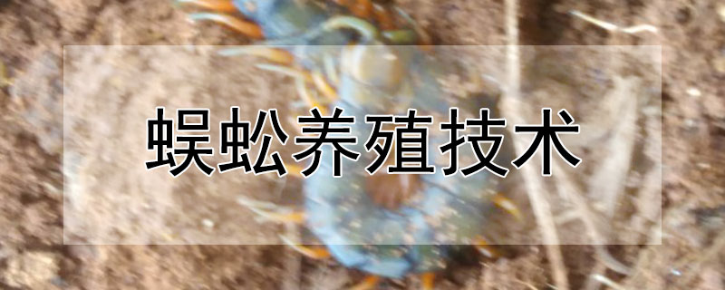 蜈蚣养殖技术（蜈蚣养殖技术书籍）