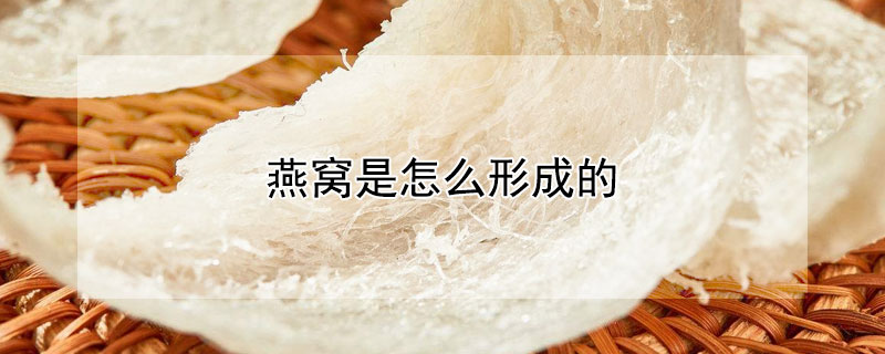 燕窝是怎么形成的（燕窝哪个品牌品质最好）