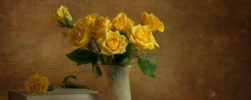 黄玫瑰代表分手吗（黄玫瑰是分手的意思吗）