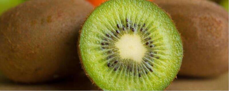 奇异果和猕猴桃的区别（奇异果和猕猴桃的区别图片）