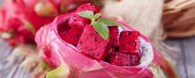 火龙果红心和白心区别 火龙果红心和白心哪个营养价值高