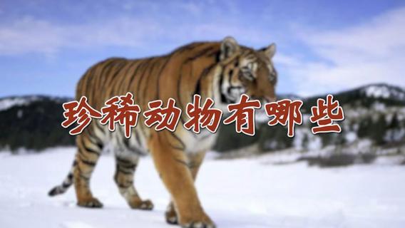 珍稀动物有哪些 珍稀植物有哪些