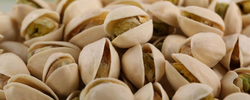 开心果名字的由来 开心果名字的由来和寓意