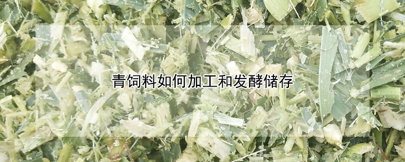 青饲料如何加工和发酵储存 青饲料如何加工和发酵储存视频