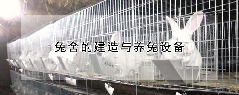 兔舍的建造与养兔设备 兔舍的建造与养兔设备有哪些