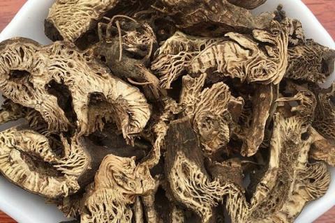 广升麻的功效与作用 广升麻的功效与作用与主治