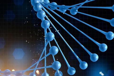 抗菌肽的功效与作用（抗菌肽的功效与作用书）