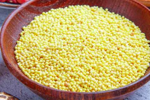 黄米的功效与作用（黄金米的功效与作用）